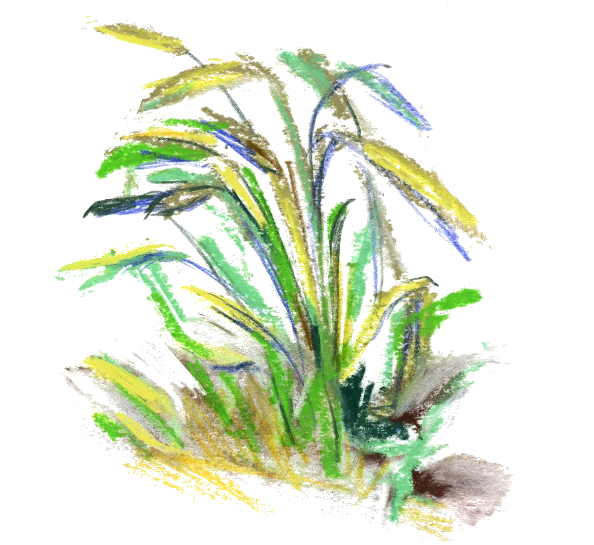 01-13_agriculture