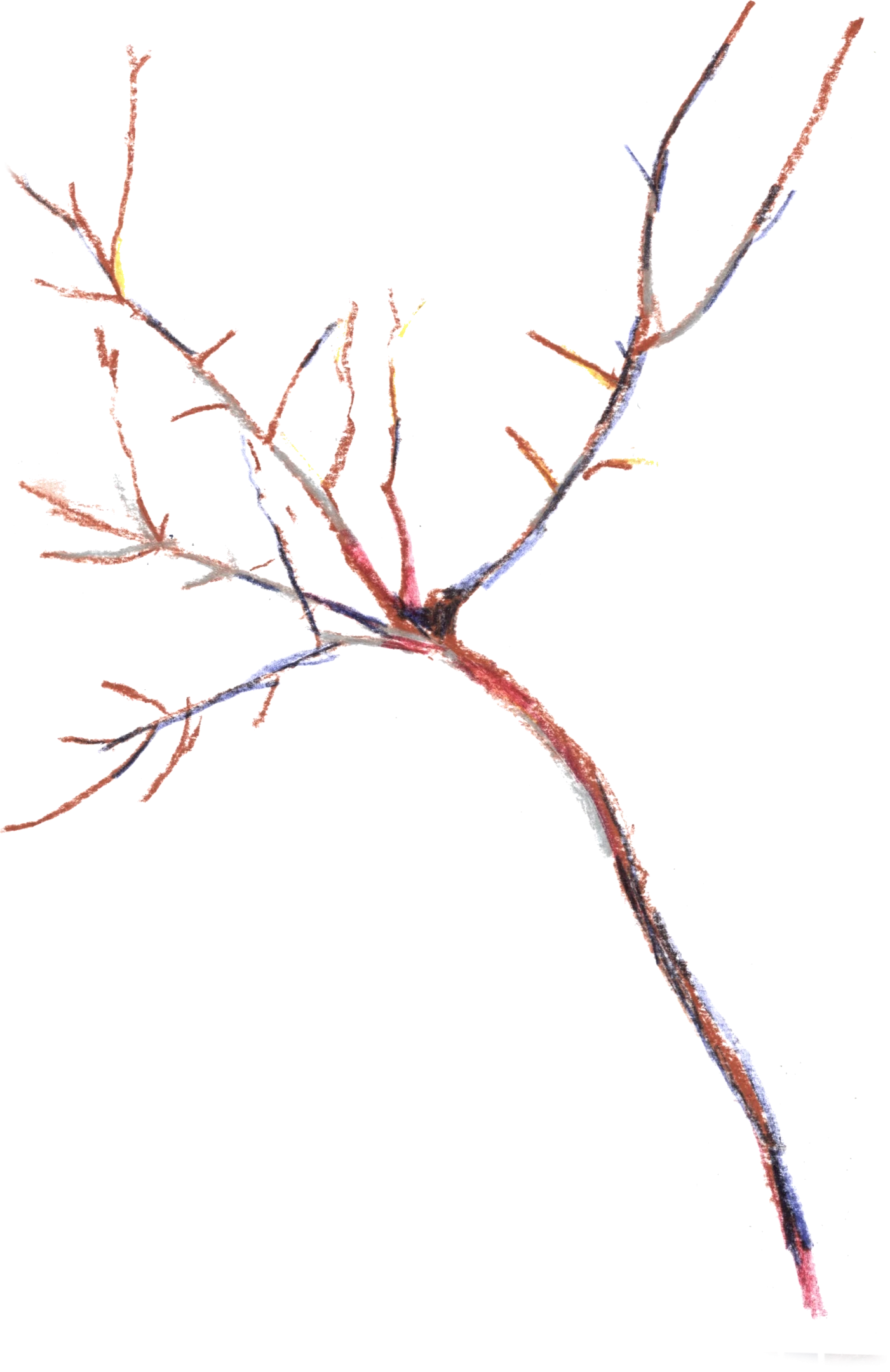 01-6_agriculture
