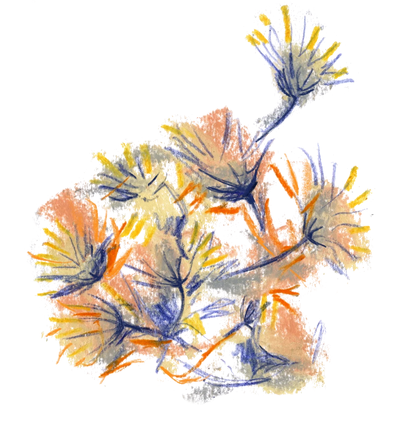 01-2_agriculture