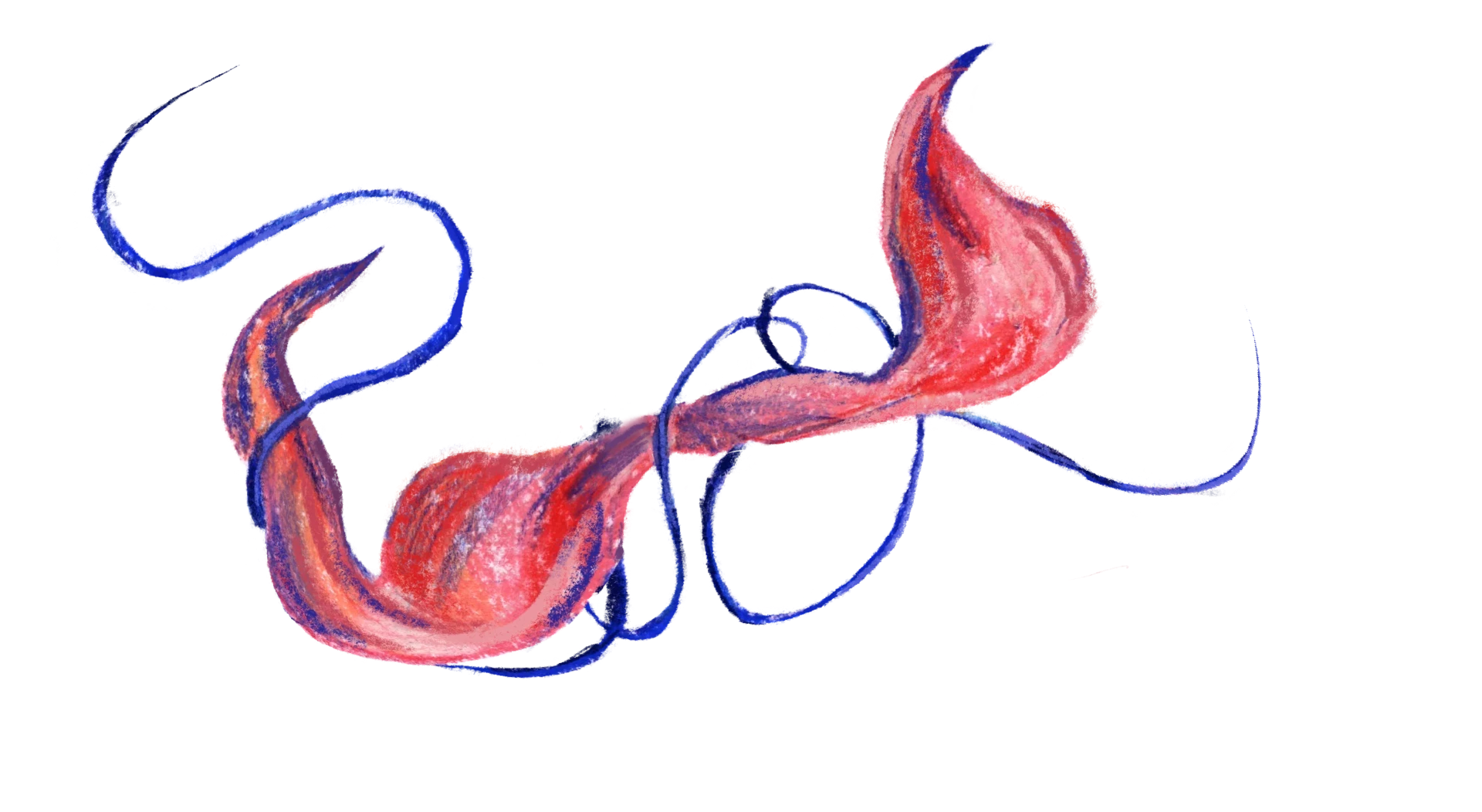 00_doek_3