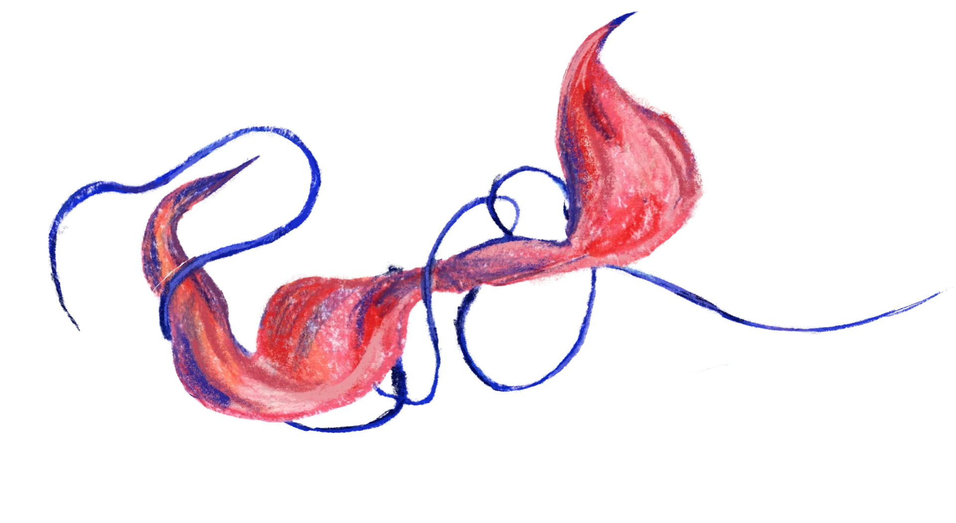 00_doek_2